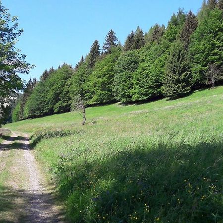 Ferienhaus Moosbachtal Thueringer Wald Bei Oberhof Rotterode Dış mekan fotoğraf